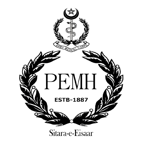 PEMH_LOGO-removebg-preview